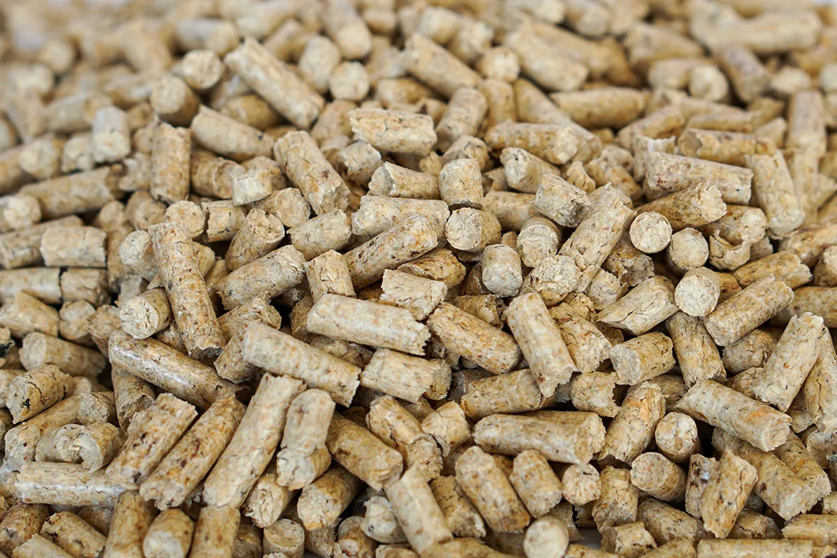 Holzpellets in den Händen